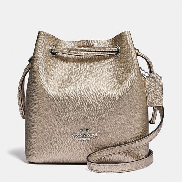 Brand New Coach Metallic Gold Lena Crossbody Metallic Bag and Silver Hardware